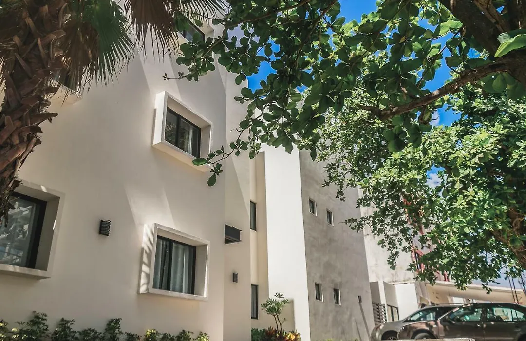 Viento Suites Cancún-1