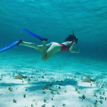 Viento Suites Cancun-3